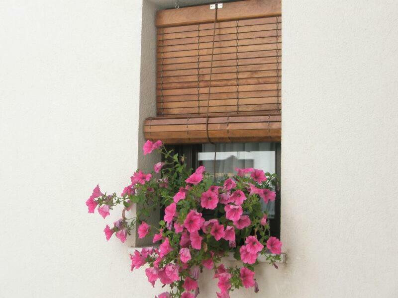 Apartamentos La Ribera コルドバ エクステリア 写真
